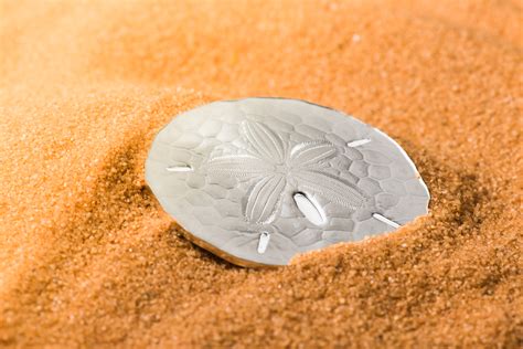 Sand coin